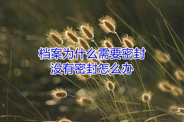 档案为什么需要密封，没有密封怎么办