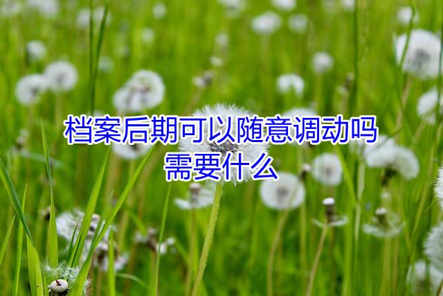 档案后期可以随意调动吗，需要什么