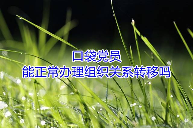 口袋党员能正常办理组织关系转移吗