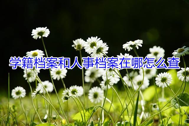 学籍档案和人事档案在哪怎么查