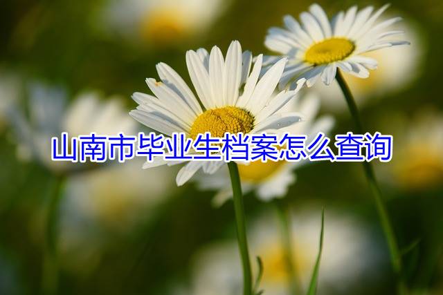 山南市毕业生档案怎么查询