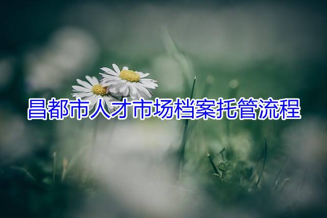 昌都市人才市场档案托管流程