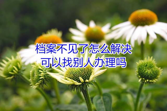 档案不见了怎么解决，可以找别人办理吗