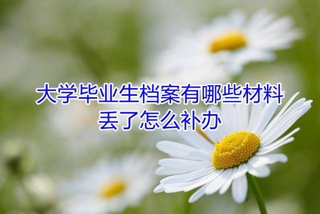 大学毕业生档案有哪些材料，丢了怎么补办