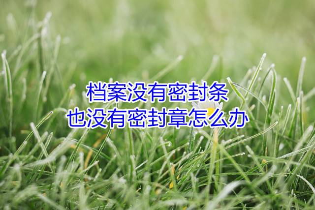 档案没有密封条也没有密封章怎么办