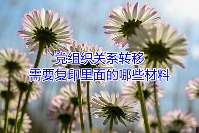党组织关系转移需要复印里面的哪些材料