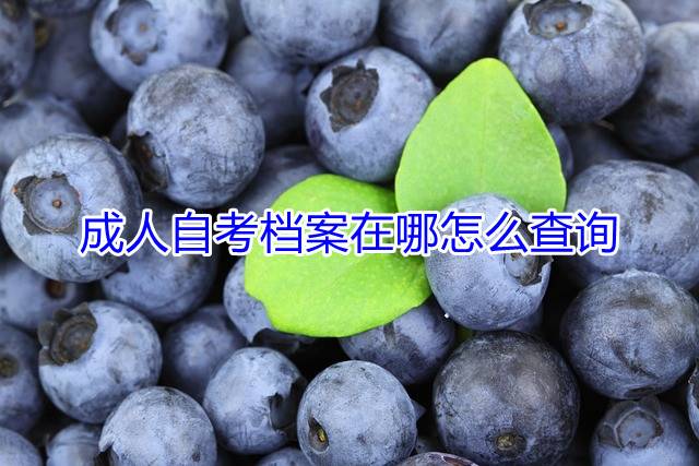 成人自考档案在哪怎么查询