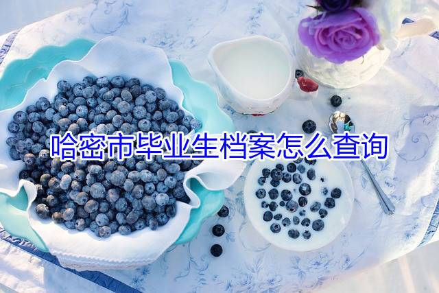 哈密市毕业生档案怎么查询