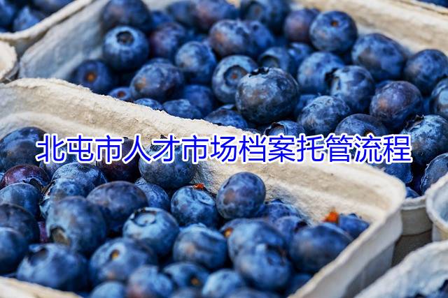 北屯市人才市场档案托管流程