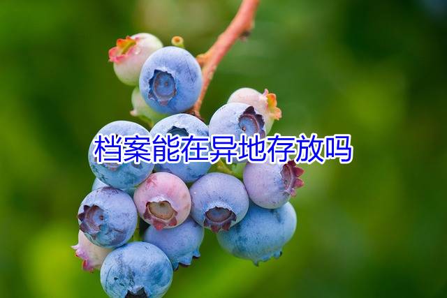 档案能在异地存放吗