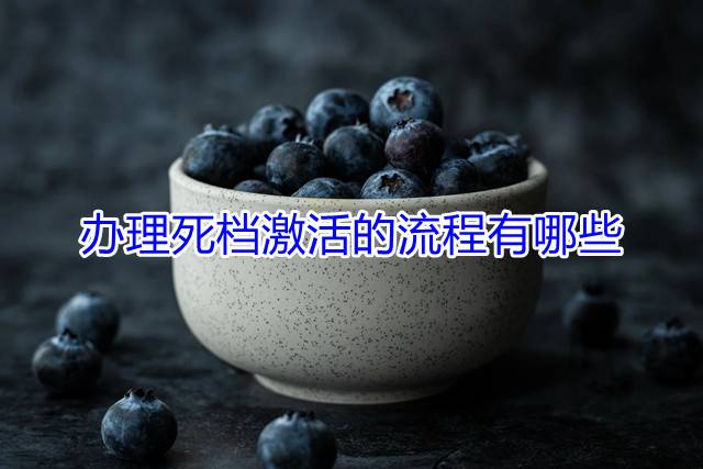 办理死档激活的流程有哪些