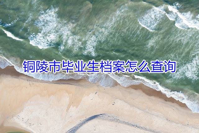 铜陵市毕业生档案怎么查询
