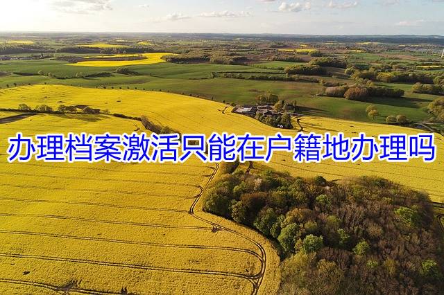 办理档案激活只能在户籍地办理吗