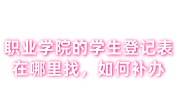 职业学院的学生登记表在哪里找，如何补办