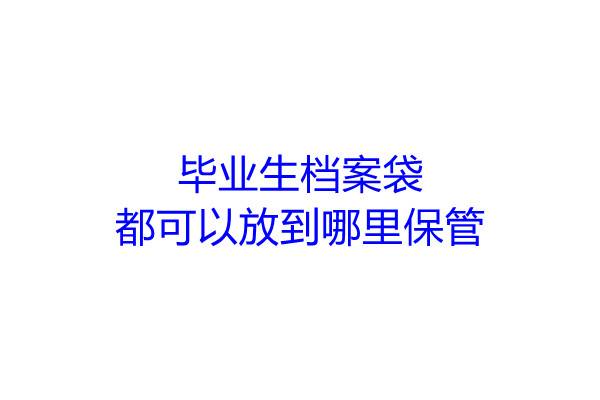 毕业生档案袋都可以放到哪里保管