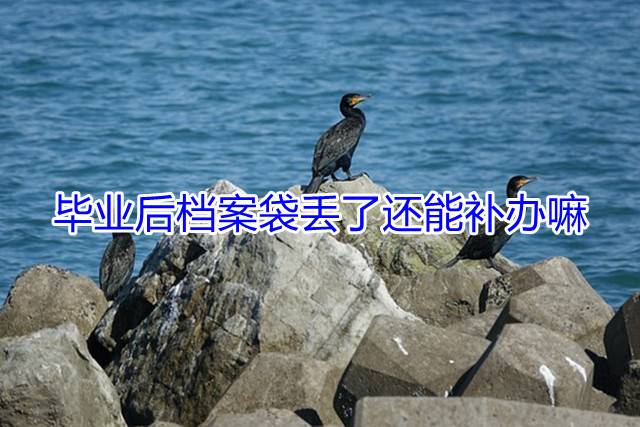 毕业后档案袋丢了还能补办嘛