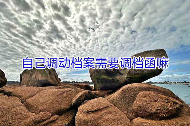 自己调动档案需要调档函嘛