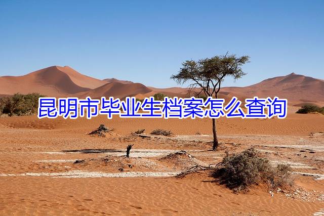 昆明市毕业生档案怎么查询