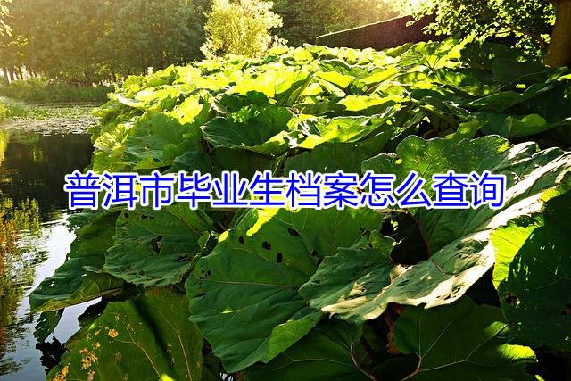 普洱市毕业生档案怎么查询