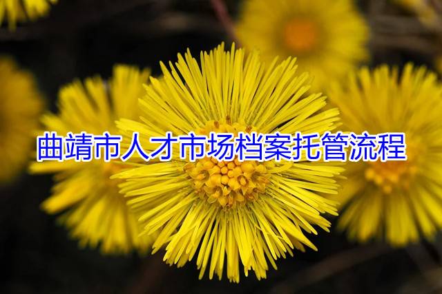 曲靖市人才市场档案托管流程