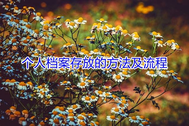 个人档案存放的方法及流程