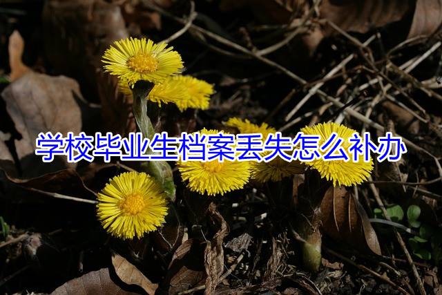 学校毕业生档案丢失怎么补办