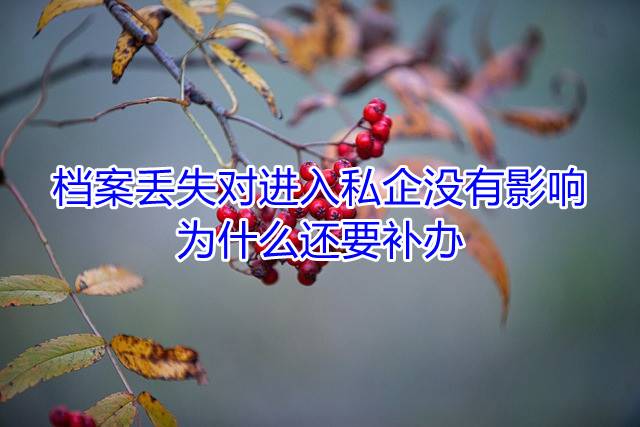 档案丢失对进入私企没有影响，为什么还要补办