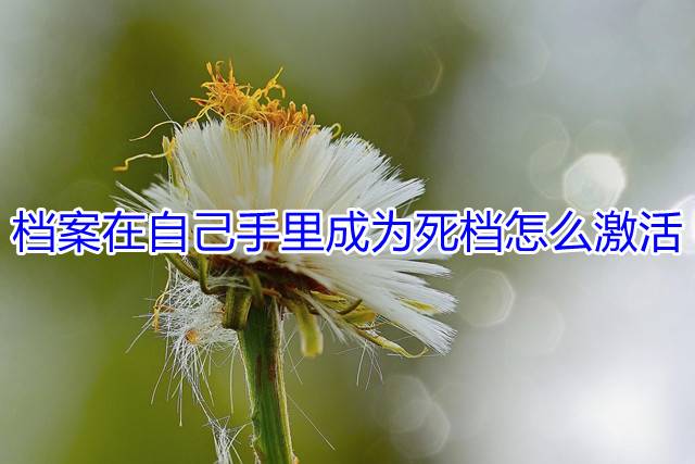 档案在自己手里成为死档怎么激活