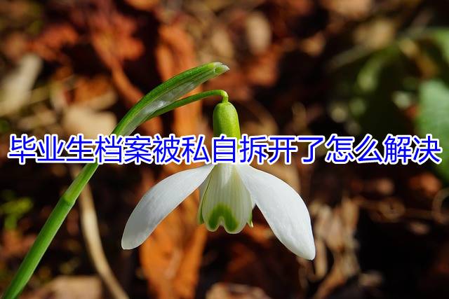 毕业生档案被私自拆开了怎么解决