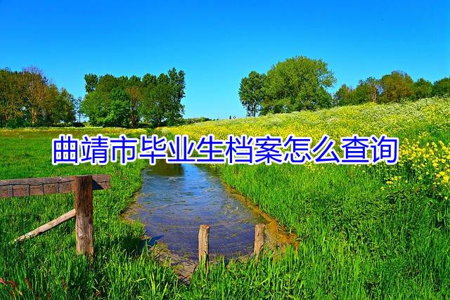 曲靖市毕业生档案怎么查询