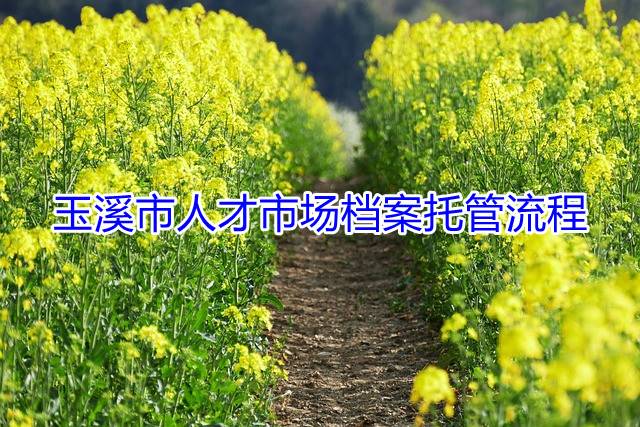 玉溪市人才市场档案托管流程
