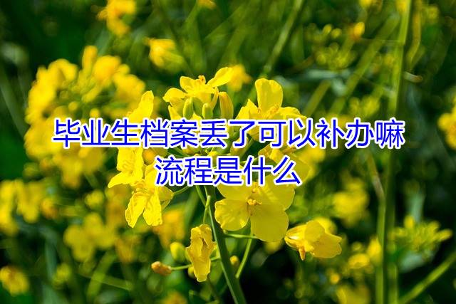 毕业生档案丢了可以补办嘛，流程是什么