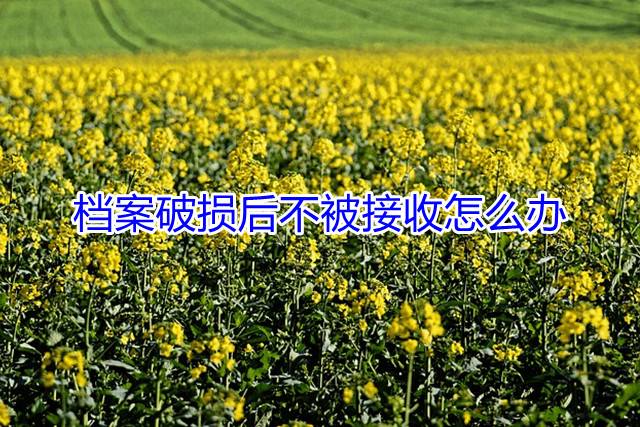 档案破损后不被接收怎么办