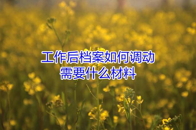 工作后档案如何调动，需要什么材料