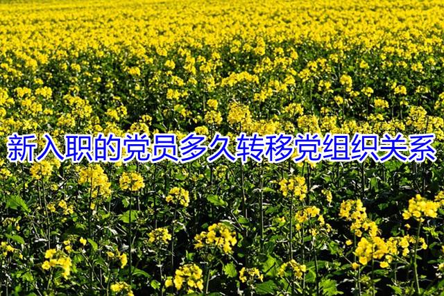 新入职的党员多久转移党组织关系