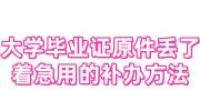 大学毕业证原件丢了着急用的补办方法