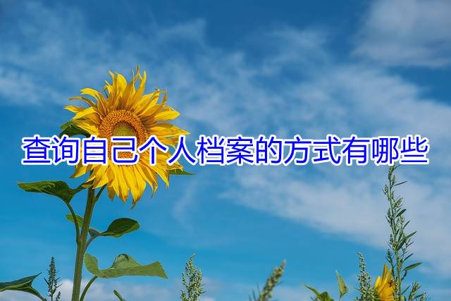 查询自己个人档案的方式有哪些