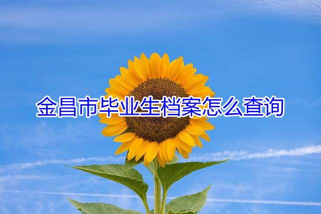 金昌市毕业生档案怎么查询