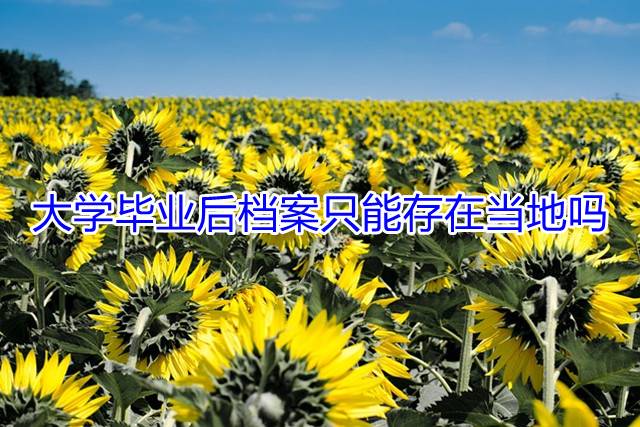 大学毕业后档案只能存在当地吗