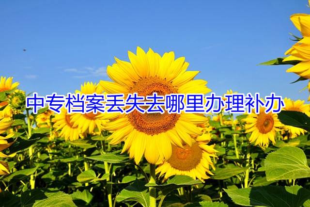 中专档案丢失去哪里办理补办