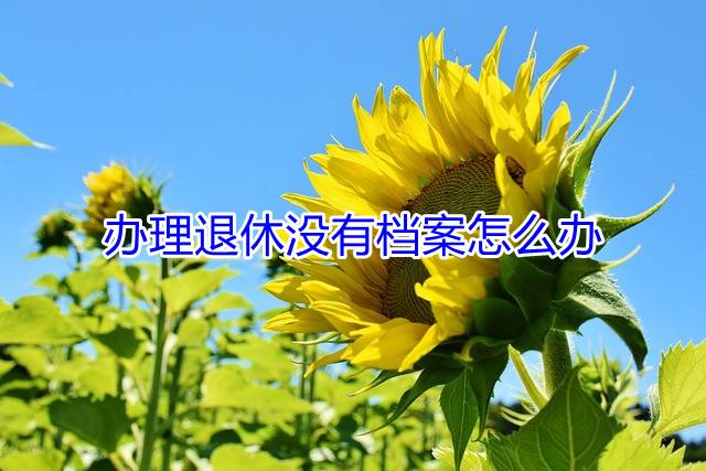 办理退休没有档案怎么办