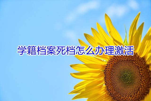 学籍档案死档怎么办理激活