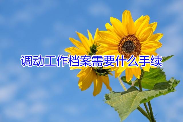调动工作档案需要什么手续