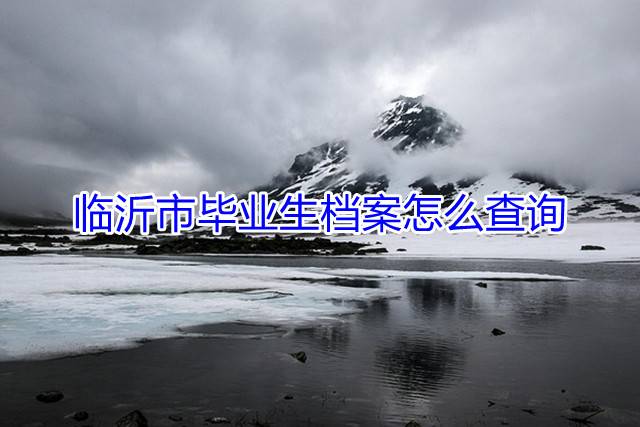 临沂市毕业生档案怎么查询