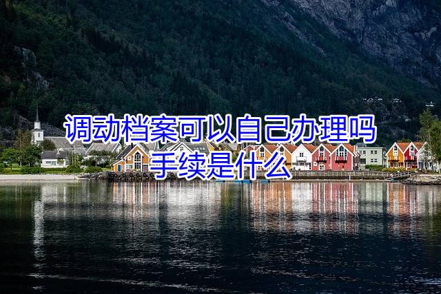 调动档案可以自己办理吗，手续是什么