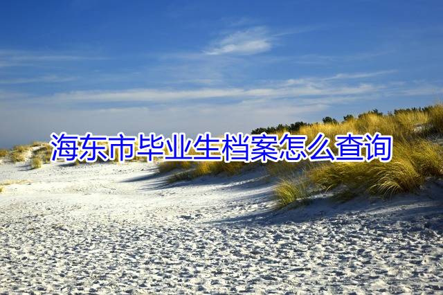 海东市毕业生档案怎么查询