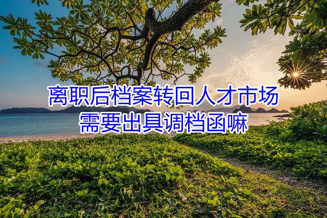 离职后档案转回人才市场需要出具调档函嘛