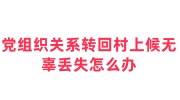 党组织关系转回村上候无辜丢失怎么办