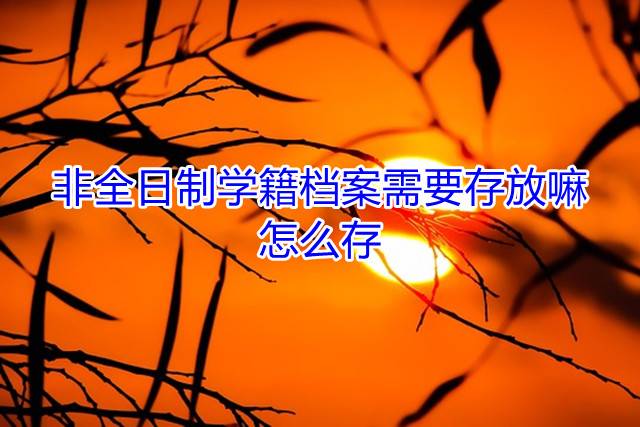 非全日制学籍档案需要存放嘛，怎么存