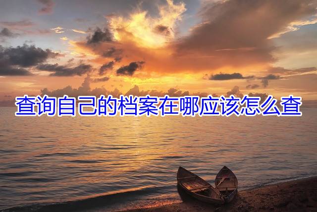 查询自己的档案在哪应该怎么查